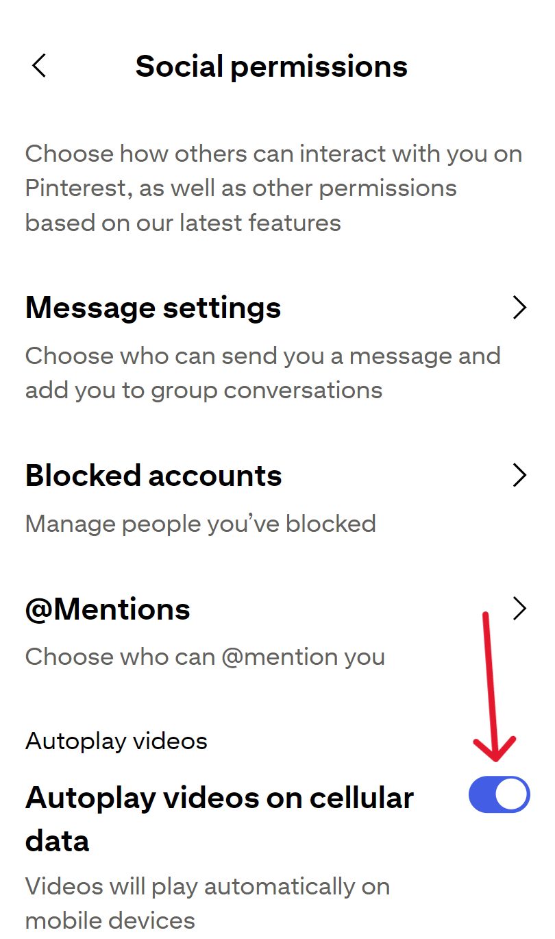 autoplay switch visible